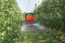 wapnowanie gleby w sadzie