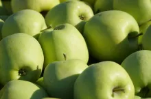 golden delicious