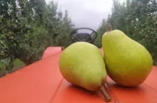 Klapsa