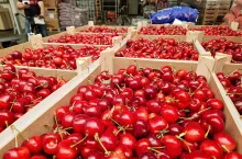 importowane czereśnie