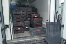 sprzedaż czereśni