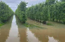 powódź