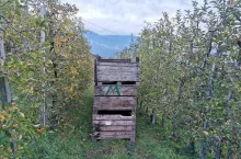 sad ekologiczny