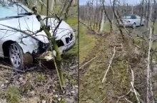 wypadek