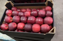 Red Jonaprince