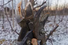 sekatory