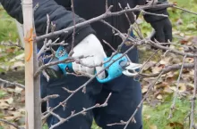 sekator elektryczny