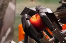 637803