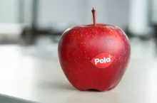 Pola