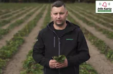 tomasz domanski agrosimex