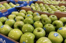 Granny Smith