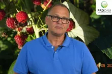 Krzysztof Gasparski