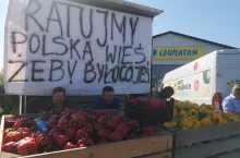 producenci papryki