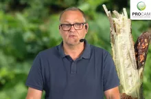 dr Krzysztof Gasparski