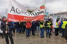agrounia protesty