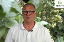 Krzysztof Gasparski