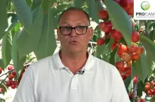 Krzysztof Gasparski