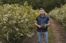 Tomasz Domański - komunikat jagodowy borówka 25.05.2022