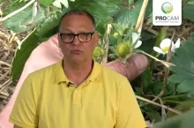 Krzysztof Gasparski