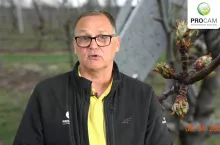tomasz gasparski
