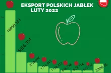 eksport kierunki luty