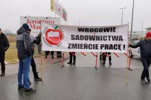 protest