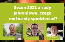 grafika