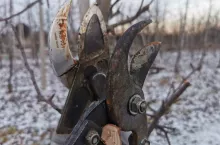 sekatory
