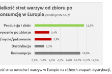 Ryc. 1. Wielkość strat owoców i warzyw w Europie na różnych etapach dystrybucji, wg UN FAO.