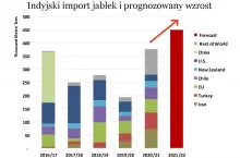 import Indie