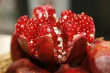 granaty turcja