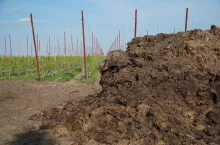 obornik