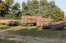 640378