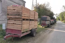 kolejka na skup