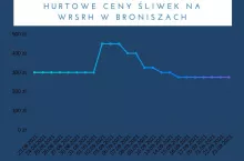ceny śliwek bronisze