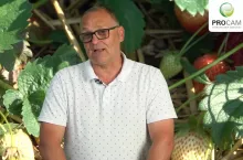 Krzysztof Gasparski