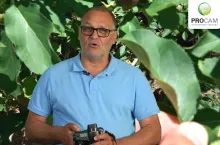 komunikat procam
