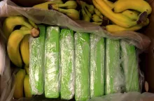 kokaina w bananach