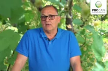 Krzysztof Gasparski