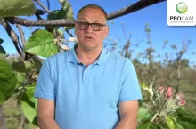 komunikat procam