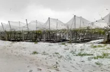 gradobicie