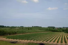 641782