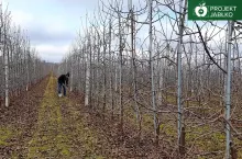 projekt