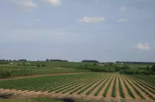 ukraina