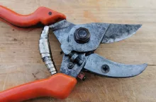 sekator lowe