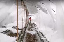 zawalony tunel