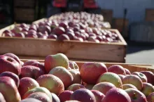 handel za wagę w skrzyni