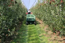 rok 2021 na rynkach hurtowych