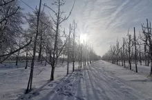 prognoza pogody