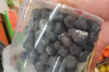 importowane borówki